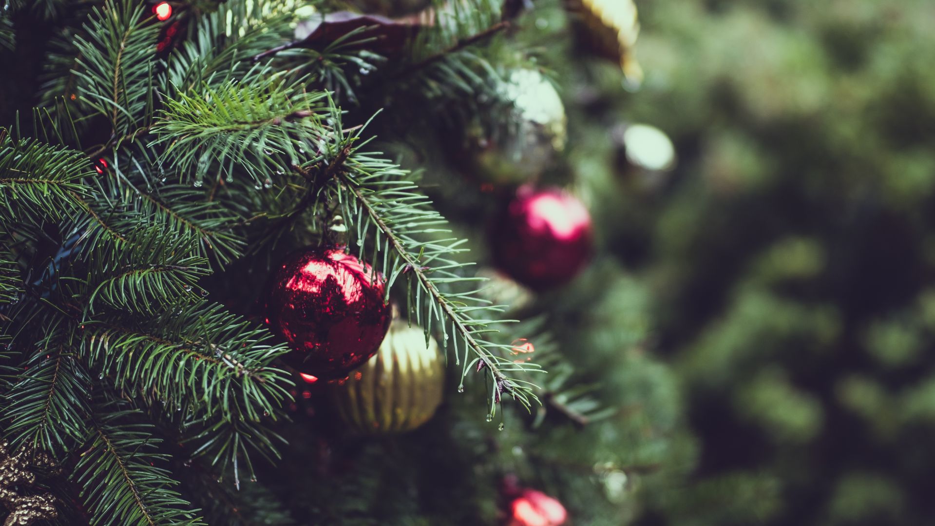 Decorated Christmas tree